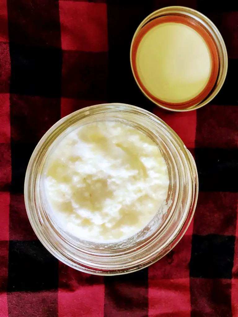 making milk kefir fermented foods probiotic rich gut health