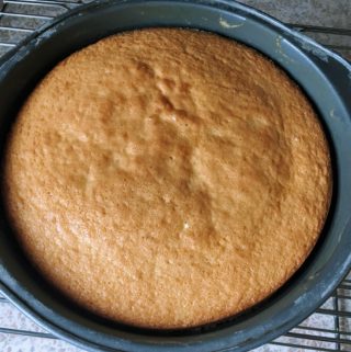 genoise sponge layer cake