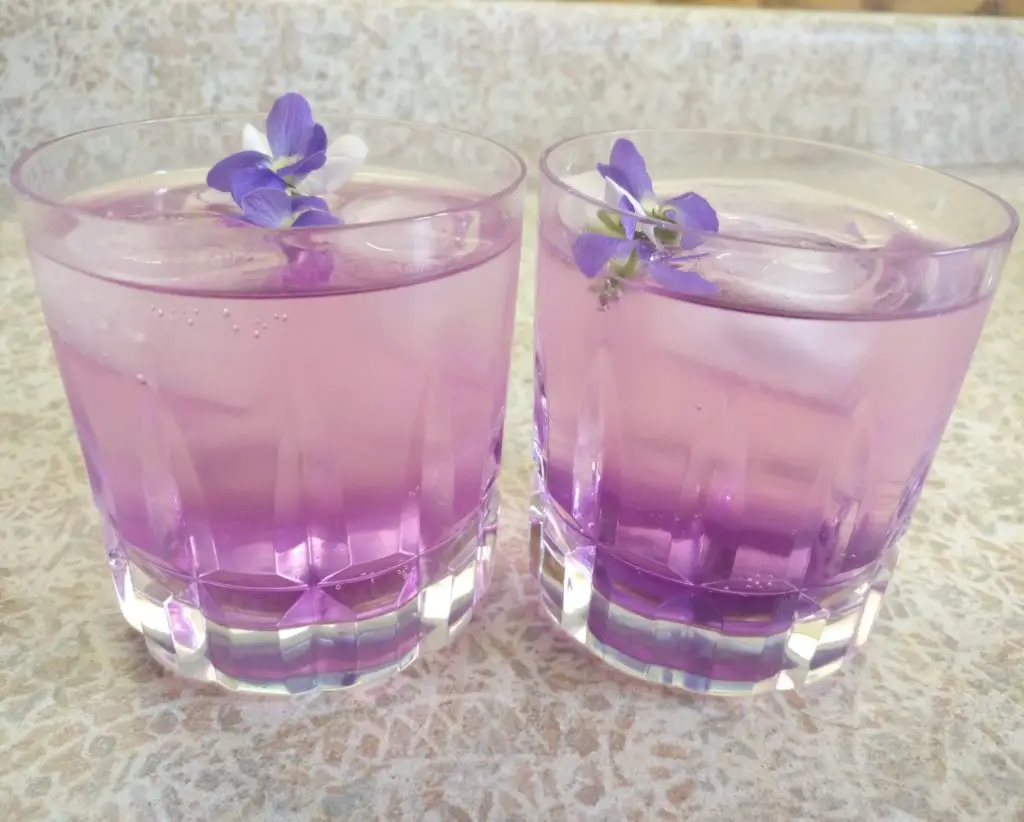 wild violet cocktails