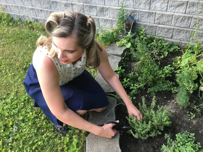 keep an herb garden to be frugal in the kitchen