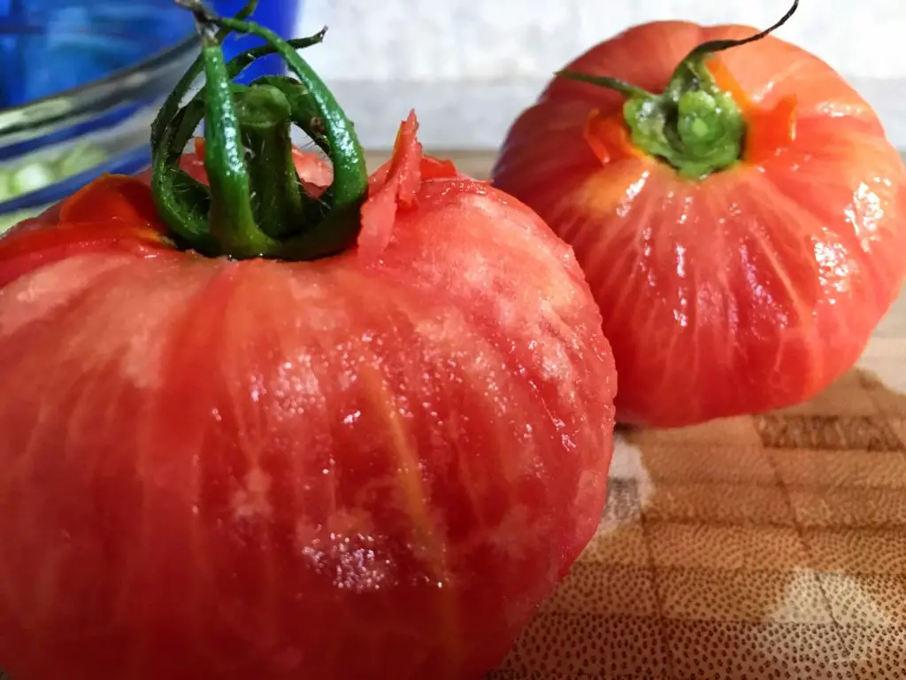 peeled tomatoes