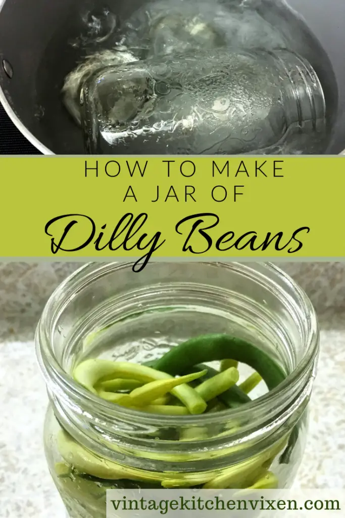 refrigerator dilly beans pin