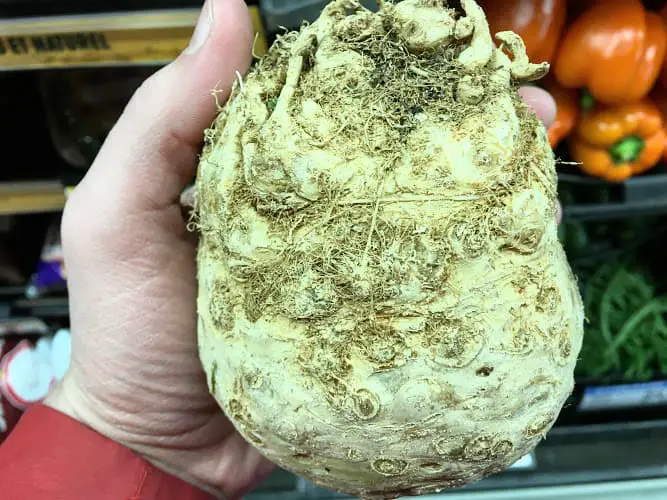 celery root at the store