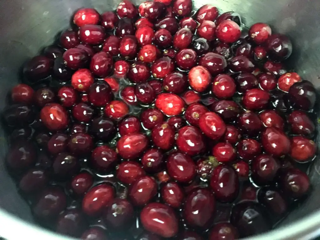 floating cranberries in bowl