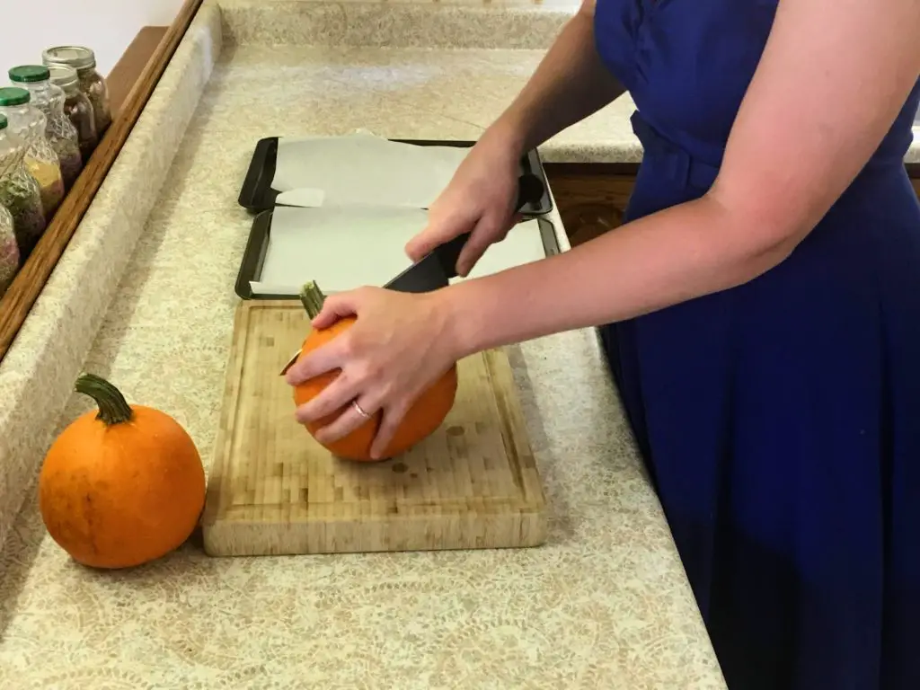 cutting sugar pumpkins