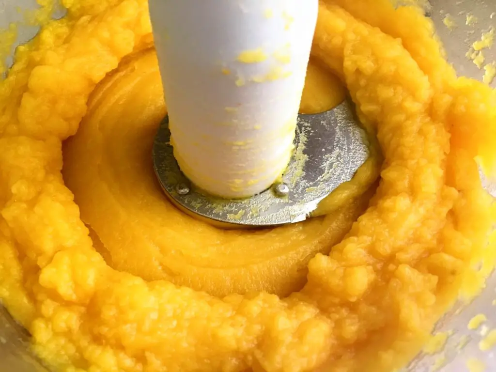 pumpkin puree in a food processor