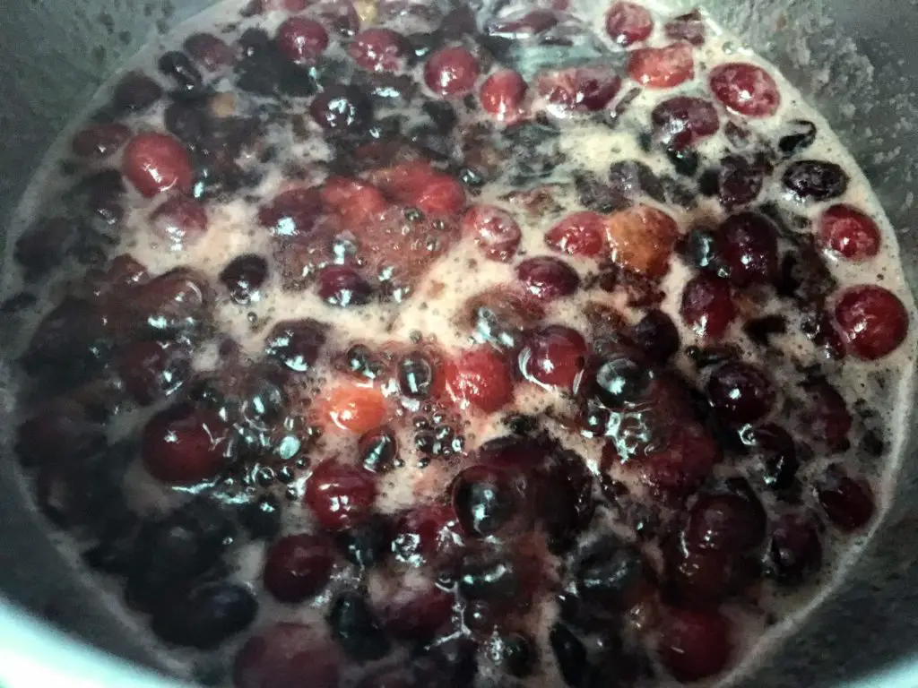 simmering cranberries
