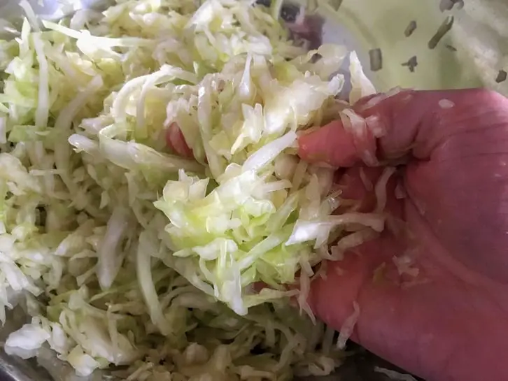 wet cabbage while making sauerkraut