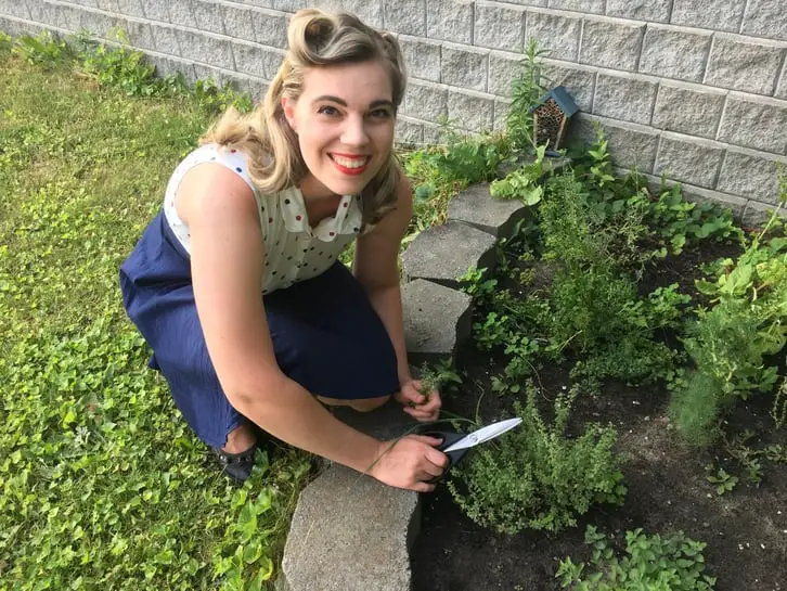 harvesting herbs practicing old-fashioned skills