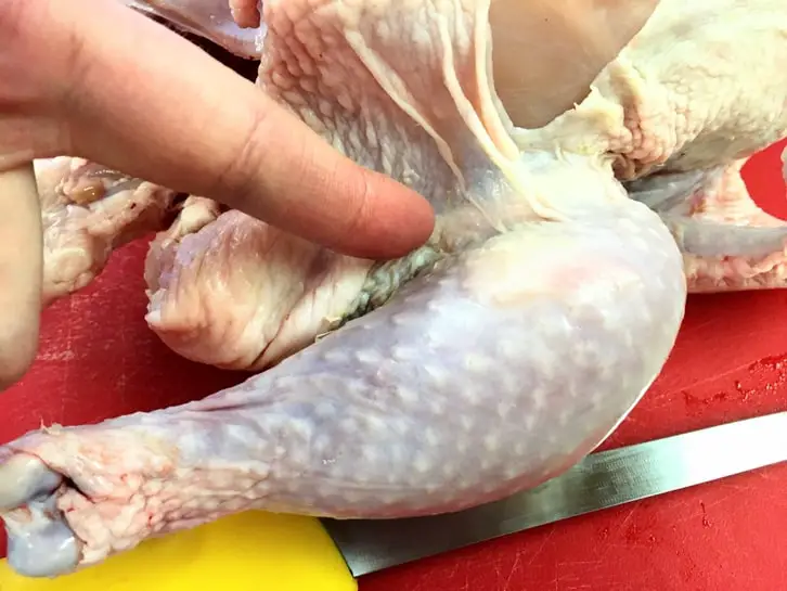 where to begin quartering a chicken