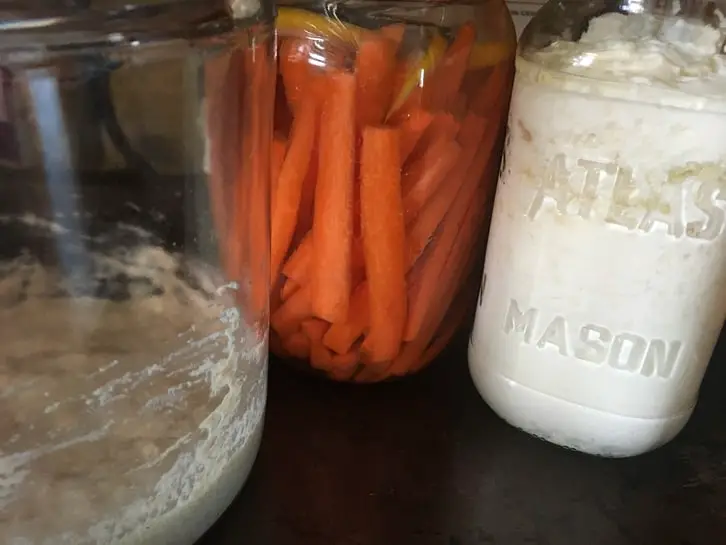 sourdough starter, fermented carrots and milk kefir