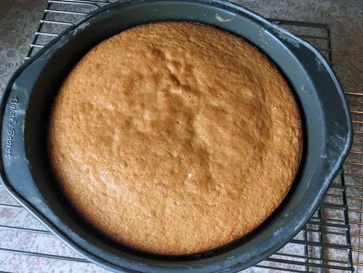 classic genoise sponge cake cooling down