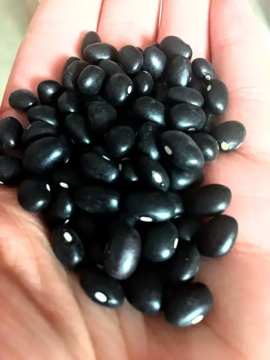 handful of dried black beans
