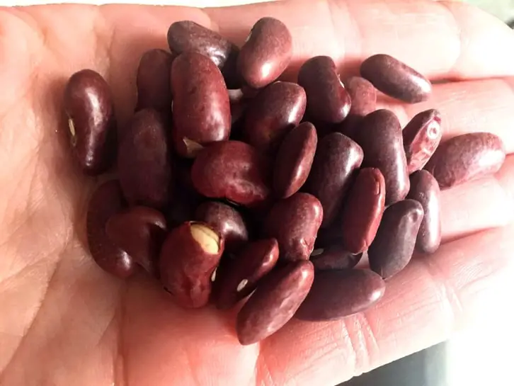 handful of kidney beans