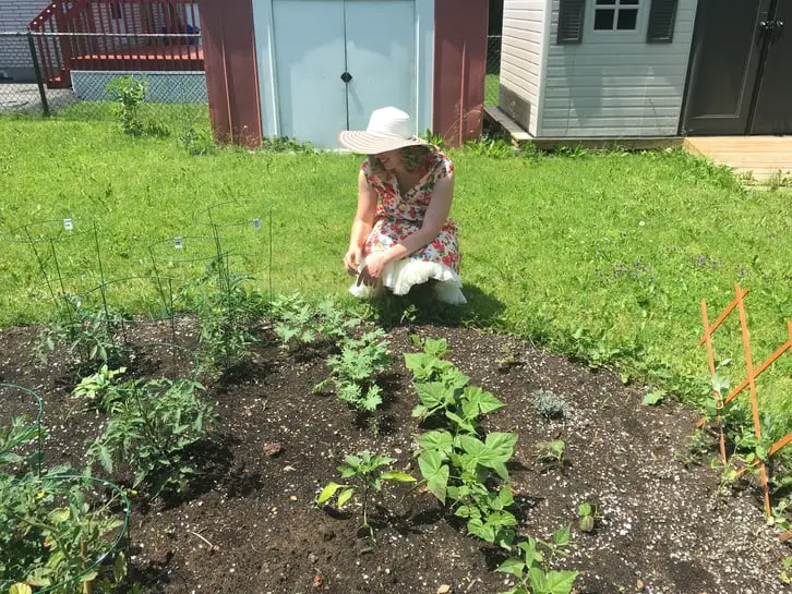 minding the garden