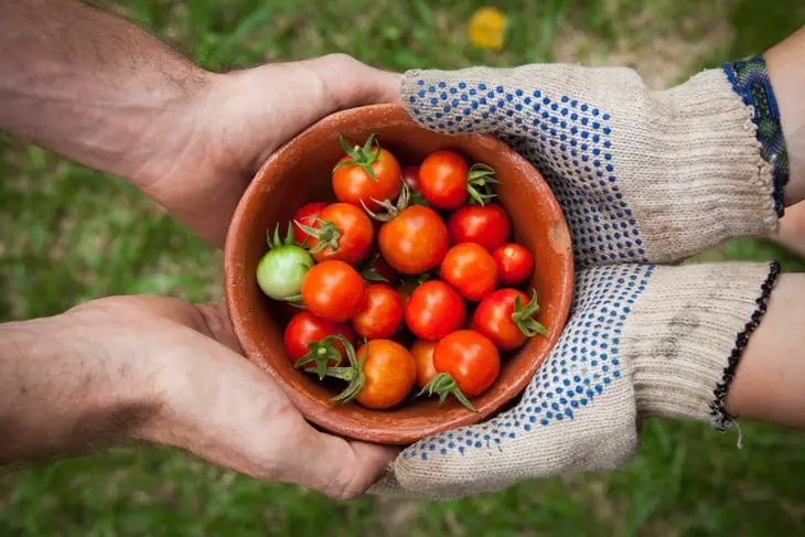 sharing bounty with a neighbour