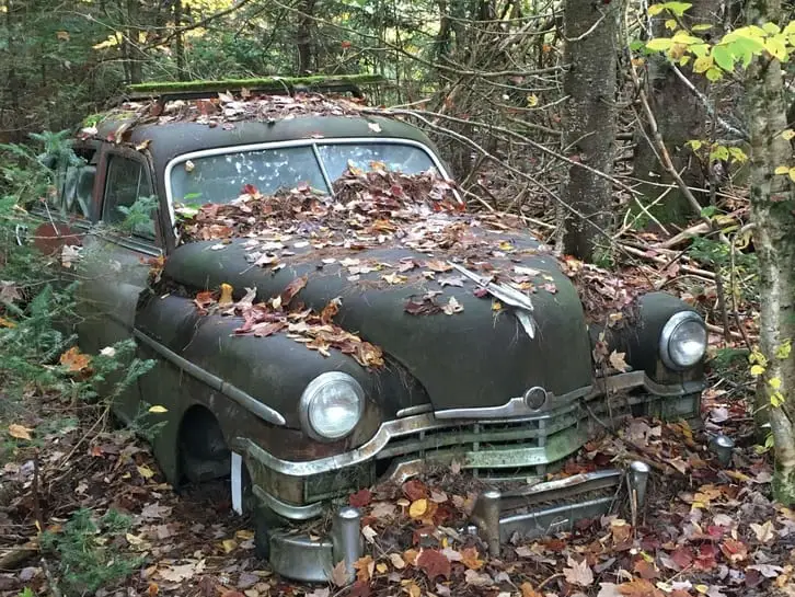 abandoned vintage car covered in leaves