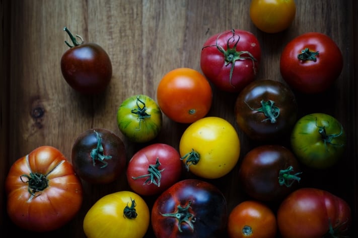 rainbow tomatoes are what I'm planting