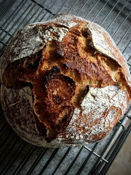 sourdough bread