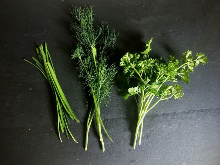 fresh chives, dill and parsley