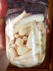 Why Everyone Should Forage (and 7 beginner tips) - Vintage Kitchen Vixen