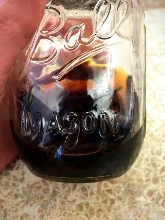 getting low on homemade vanilla extract