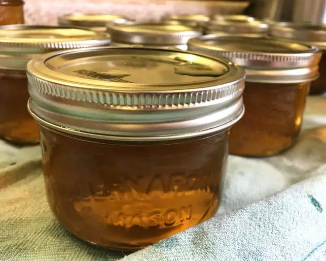 jars of dandelion jelly