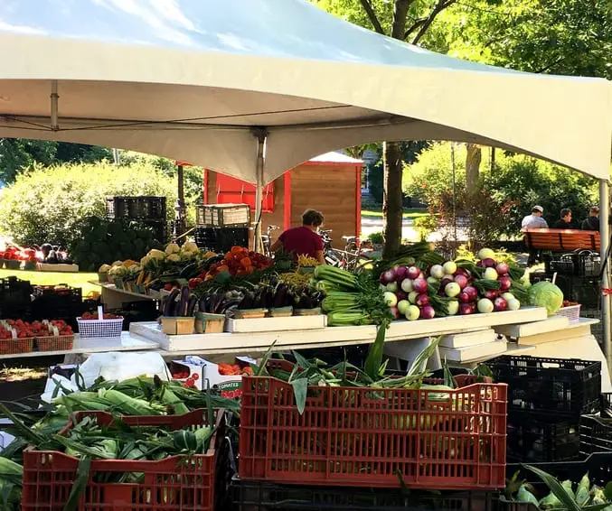 sourcing food at farmer's markets