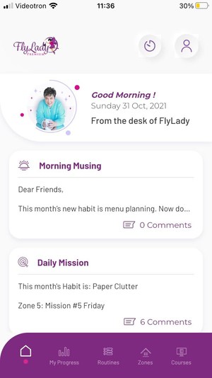 flylady home page