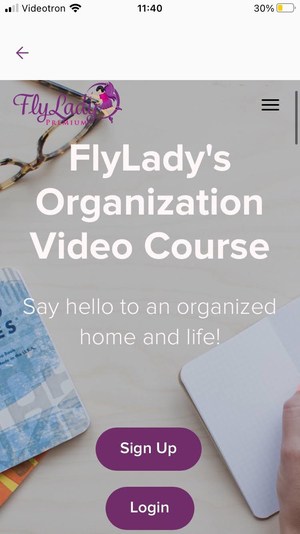 flylady organization course screenshot