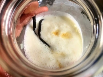 infusing milk kefir with vanilla bean scraps